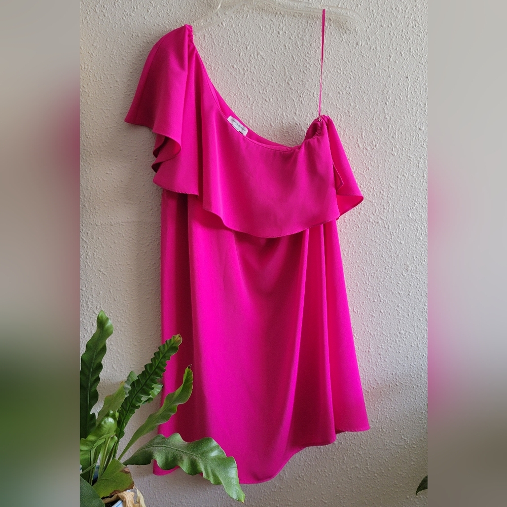 Carolina Belle Pink Asymmetrical Ruffled Sleeveless Dress